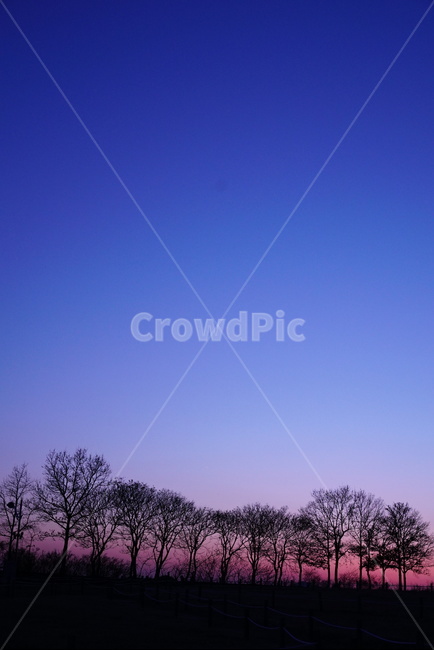 일몰,하늘,노을,석양,아프리카,자연,풍경,nature,landscape,outdoors,옥외