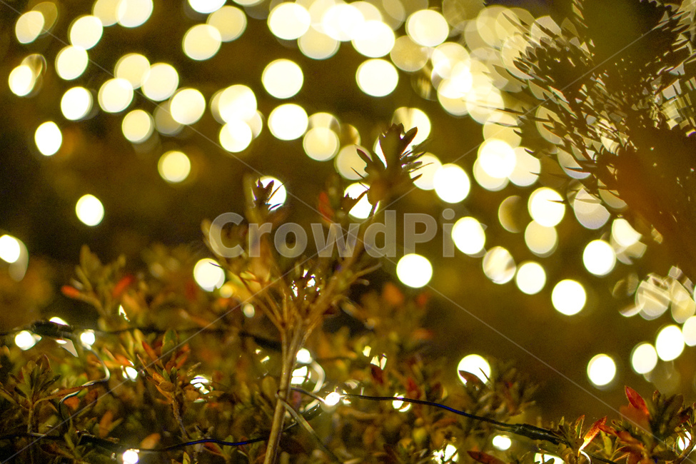 lighting,조명,light,빛,bokeh,빛망울