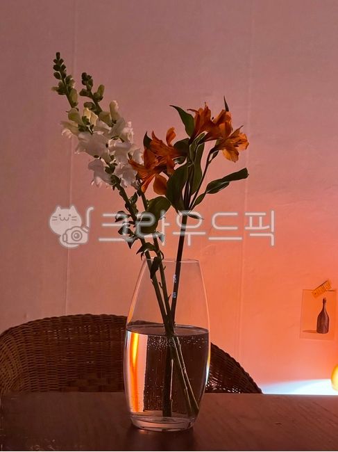blossom,plant,flower arrangement,decoration,flower