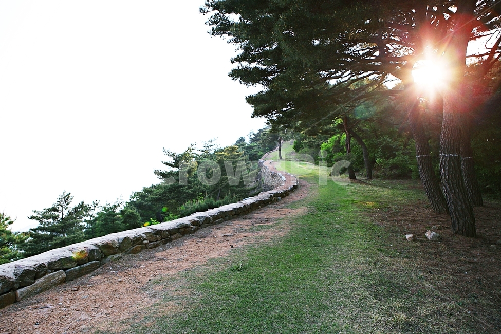 성,전등사,성곽,둘레길,돌담,풍경,배경,자연