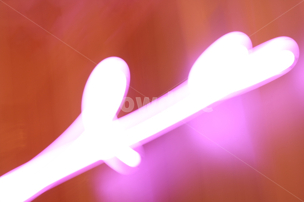 필름,네온,네온사인,neon,light,조명,빛,필름사진,핑크,분홍색,몽환,art,purple,보라색,미술,graphics