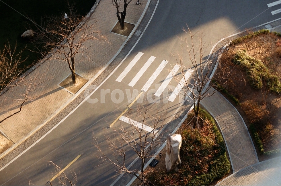 일몰,빛,그림자,차도,도로,길,횡단보도,배경,색감,필름,교통,교통수단,traffic,transportation,asphalt,아스팔트,road