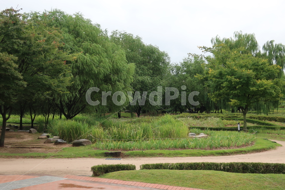 서울,창포원,식물원,도시,공원,습지,조성,숲,산책,산책로,자연,풍경,nature,landscape,grass,잔디,plant,식물,outdoors,옥외,lawn,park