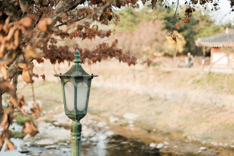 등불,조명,가을,가로등,길거리,가을,계절,fall,autumn,season,감성,sensible,feeling