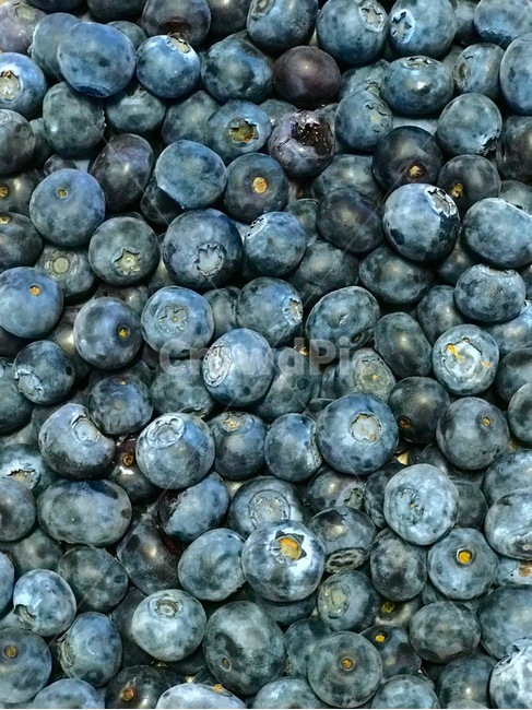 블루베리,과일,blueberry,fruit,보라색,purple,healthy,보라배경,확대샷,food,음식,과일,열매,fruit