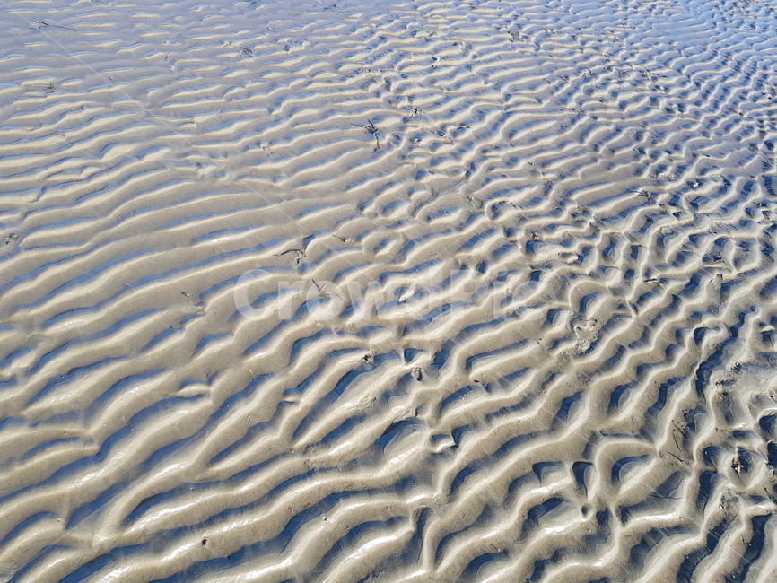 갯벌,바다,해변,자연,진흙,해변,바다,beach,sea