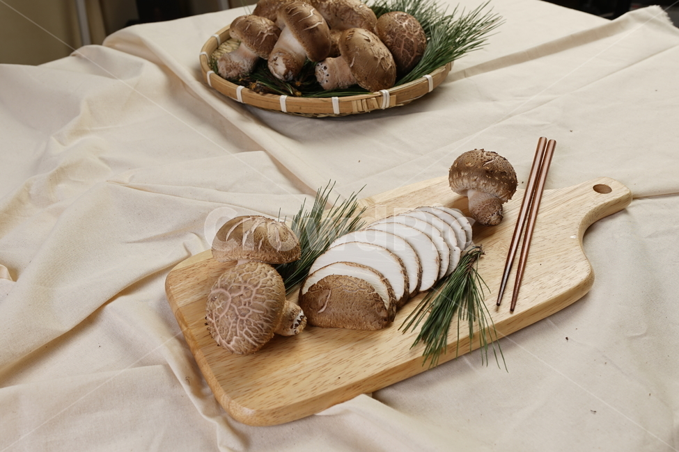 버섯,요리재료,음식,식물,food,버섯,mushroom,음식,식재료,요리,food,cook,meal,dishes,food reserves