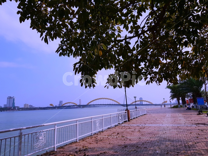 강,바다,다리,공원,용다리,다낭,베트남,평일,오전,햇빛,나무,여유,한적,구름,하늘,그늘