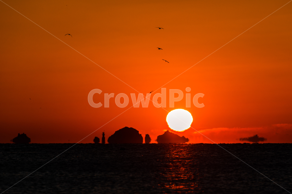 일출,해,풍경,landscape,바다일출,거제바다,궁농마을일출,자연,풍경,nature,landscape,한국자연풍경,한국자연경관,korea nature landscape,sunlight,햇빛,outdoors,옥외,animal,동물,bird,새,dawn,새벽,sky,하늘,dusk,황혼,red sky,붉은 하늘,sunset,일몰