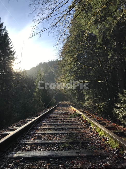 traintrack,기찻길,transportation,교통,railway,철도,rail,레일,기차,선로,길,원근법