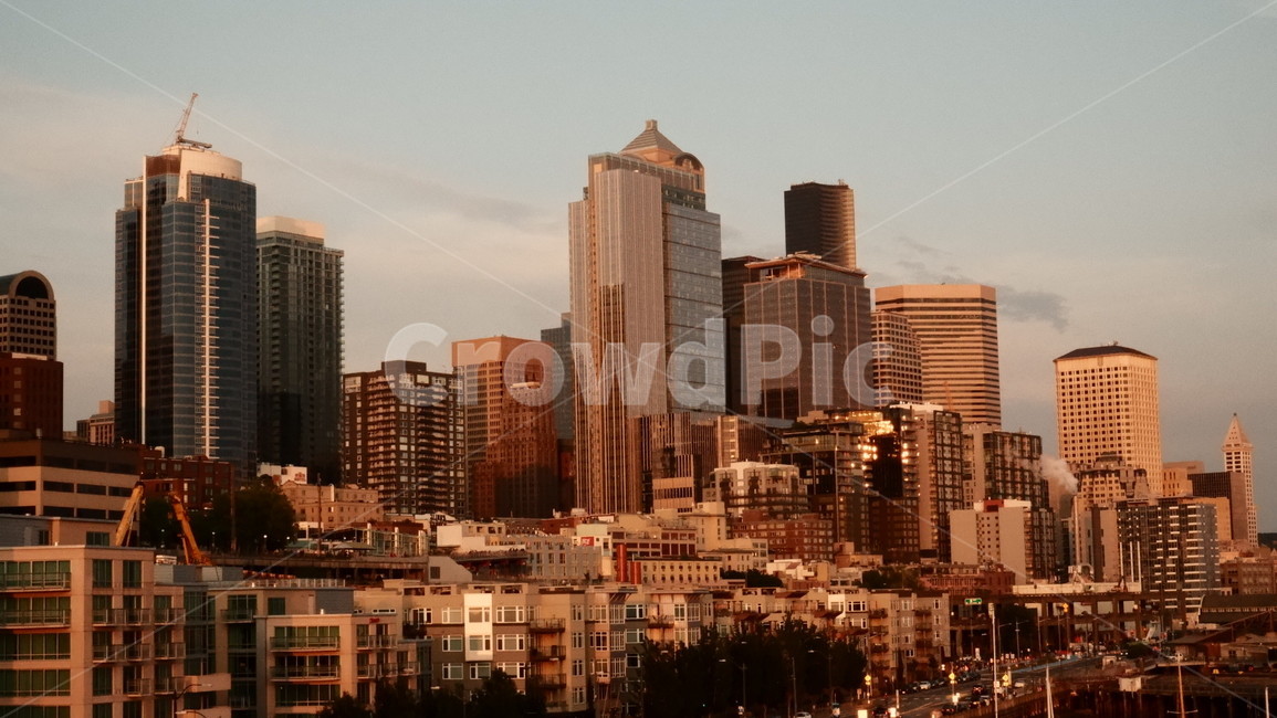 도시,빌딩,마천루,시애틀,seattle,city,building,film,감성사진,다운타운,downtown,필름,석양,sunset