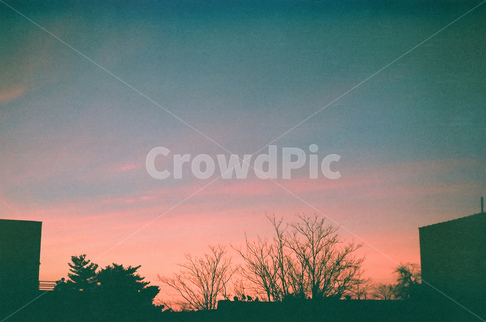 하늘,색감,아침,노을,그러데이션,자연,풍경,nature,landscape,outdoors,옥외,silhouette,실루엣