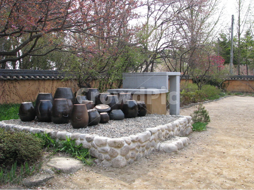 허난설헌생가,허난설헌,허균생가,허균,벚꽃,목조건축,고택,건축,한옥,기와,담장,항아리,강릉,대한민국,한국,heonanseolheonsbirthplace,heonanseolheon,heogyunsbirthplace,heogyun,cherryblossoms,woodenarchitecture,oldhouse,architecture,hanok,rooftile,wall,pot,gangneung,republicofkorea,southkorea,한국전통,한국문화,korean traditional,korean culture