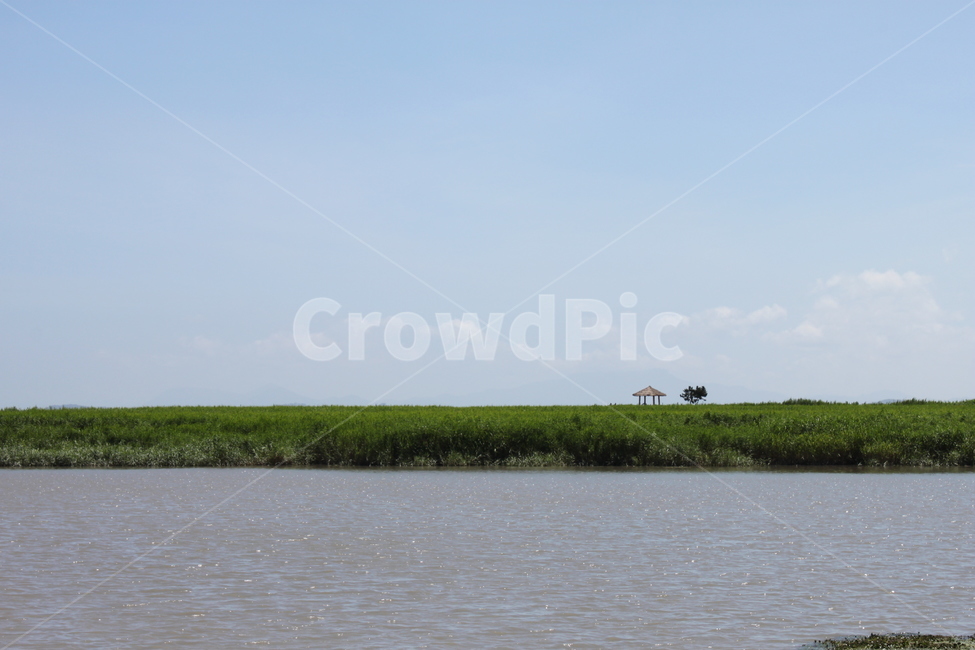 nature,자연,outdoors,옥외,land,나라,water,물,shoreline,순천만,자연,풍경,nature,landscape