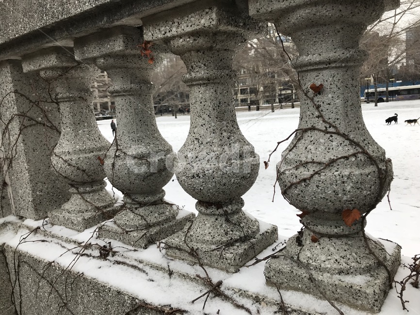 겨울,공원,눈,석조난간,담쟁이덩굴,시카고,미국,겨울,계절,winter,season