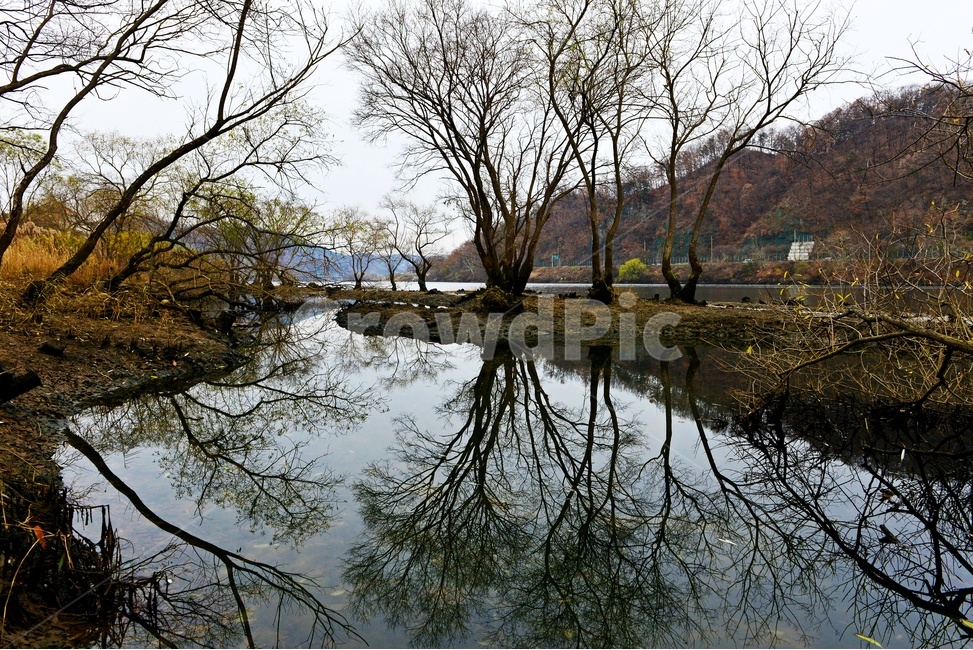충북,대청댐,로하스길,대청호로하스길,반영,water,outdoors,옥외,nature,자연,물,plant,식물,tree,나무