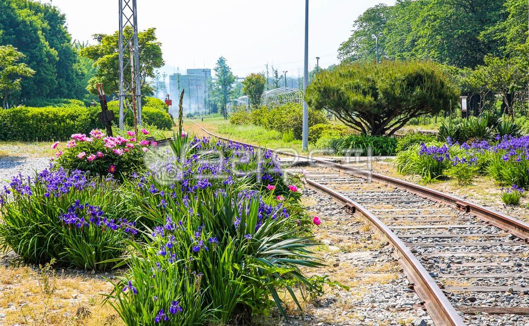 rail, 레일, traintrack, 기찻길, railway, 사진,이미지,일러스트,캘리그라피 - 영산공작가