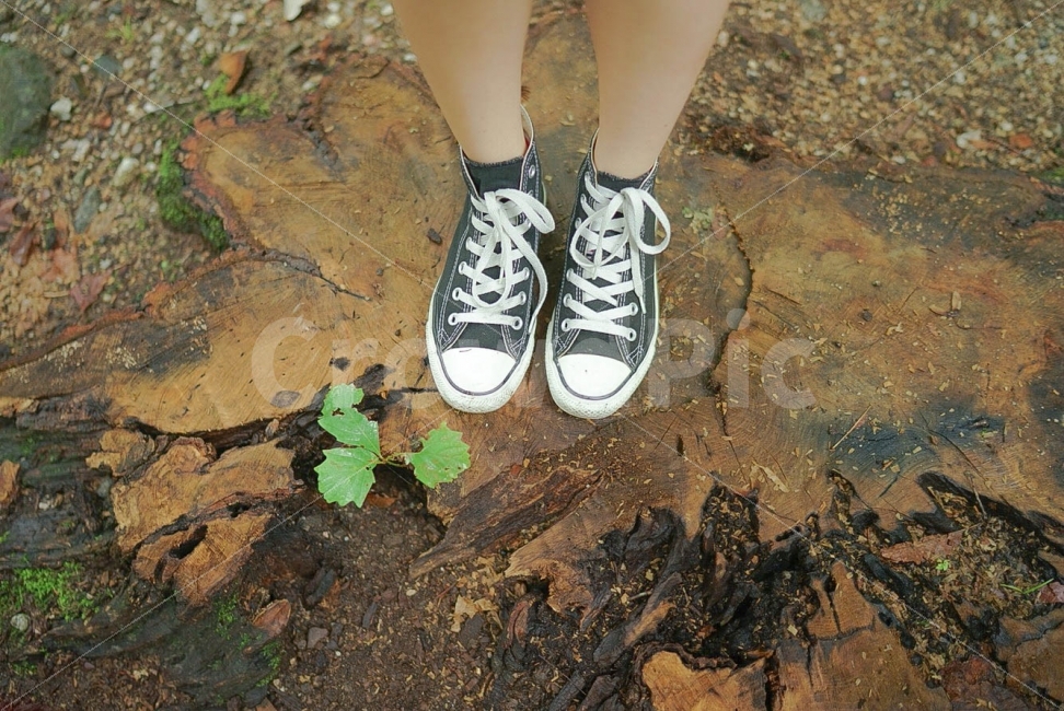 공원,식물,발,운동화,스니커즈,풀,식물,자연,plants,nature,사람,인물,인간,human,person