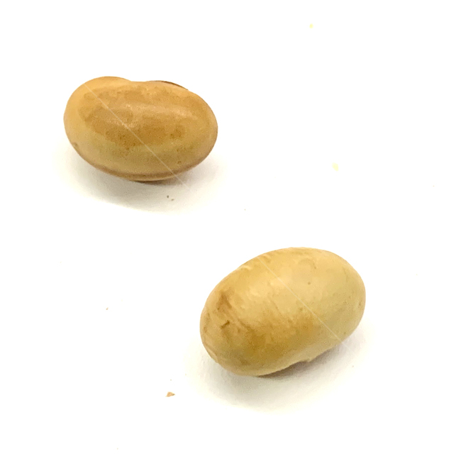 백태,서리태,콩,원두,땅콩,plant,식물,견과류,견과,알콩,갈라진,속,nut,너트,식품,food,콩류,견과류,beans,pulse,nuts,dry fruits