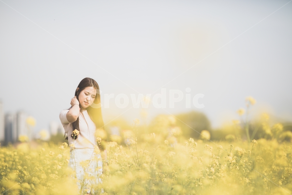 유채꽃,꽃,들판,노랑,인물,사람,여자,풍경,flower,yellow,portrait,human,girl,landscape,field,nature,자연,봄,계절,spring,season,사람,인물,인간,human,person,여성,여자,woman,female,lady,감성,sensible,feeling,들,grassland,목초지,outdoors,옥외