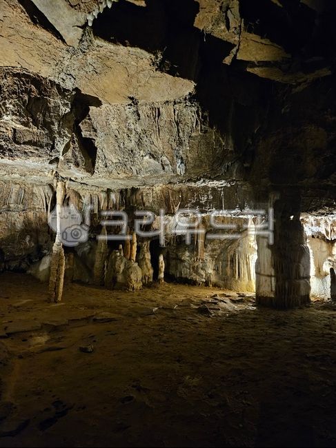 cave,Postojna Cave,nature,lime,karst terrain,Postojna,Slovenian,karst,balkan,llama,balkan peninsula,limestone cave,postoija,Seokju,Yama Cave,europe