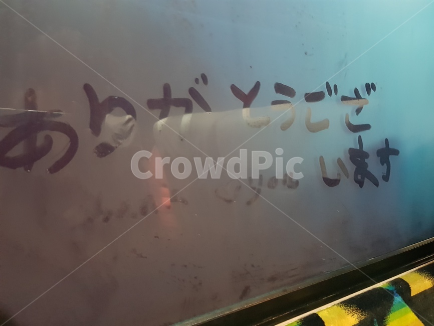 일본,japen,버스,창가,손글씨