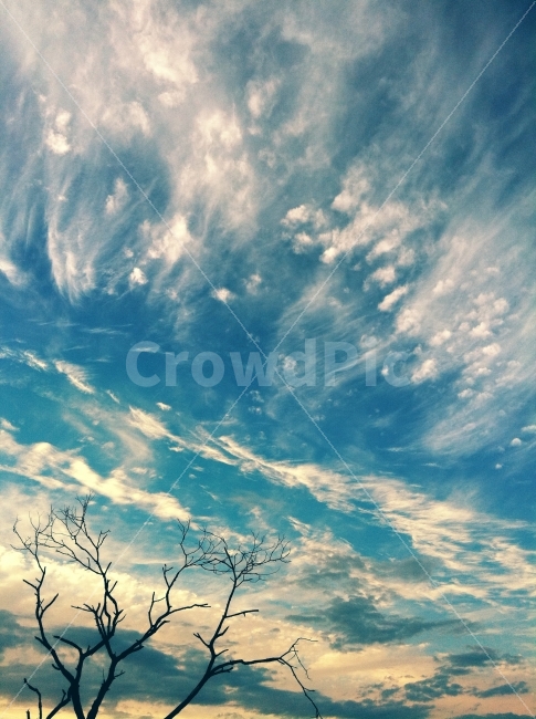 하늘,구름,파란,바다,깃털,자연,풍경,nature,landscape,outdoors,옥외,sky