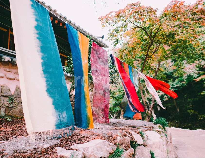 풍경,배경,가을,단풍,등산,전라도,내장산,background,scenery,autumn,maple,mountain,계절,fal,lseason,자연,nature,landscape,한국자연풍경,한국자연경관,koreanaturelandscape,한국전통,한국문화,koreantraditional,koreanculture,사람들,대중,군중,other,people,crowd,물들다,반영,백암사,오색,명소,배경화면,염색,천,결려있는,천연,천연염색,한국전통,한국문화,korean traditional,korean culture,감성,sensible,feeling