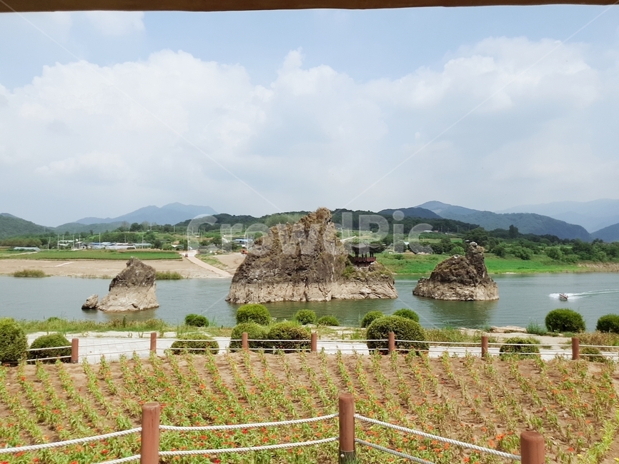 단양,풍경,자연,나무,섬