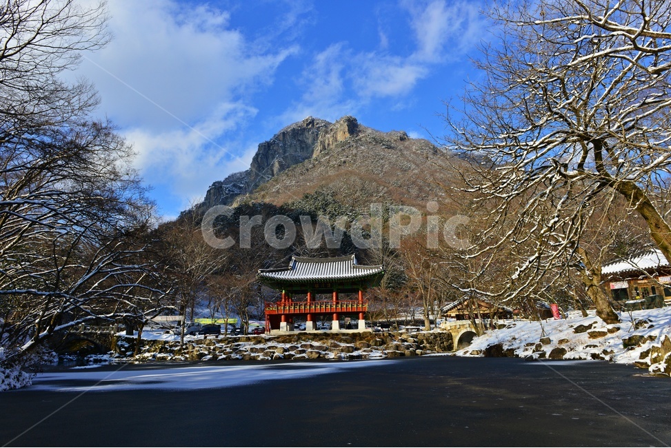 전남,장성,백양사,연못,백학봉,겨울,설경,물,tree,나무,plant,식물,nature,자연,outdoors,옥외,쌍계루,architecture,건축물,건물,산사,겨울,계절,winter,season,자연,풍경,nature,landscape,한국자연풍경,한국자연경관,korea nature landscape