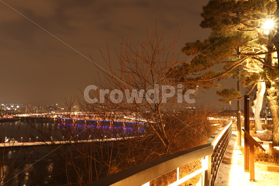 한강,다리,소나무,파랑,하늘,야경,밤,풍경,nightscape,night,landscape,banister,난간,handrail