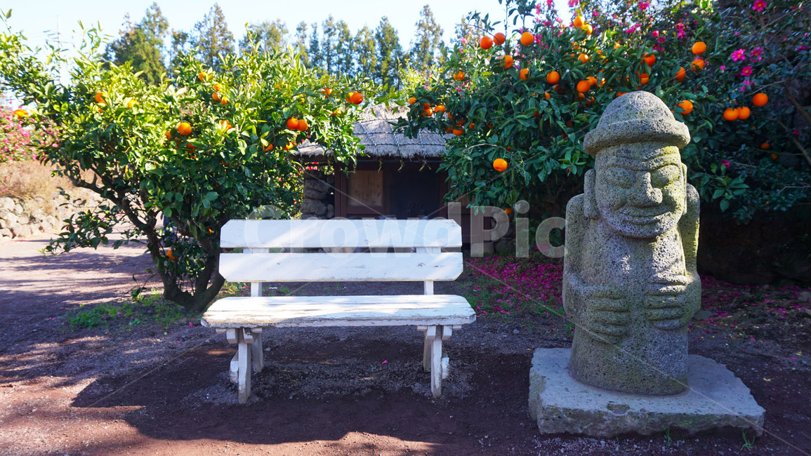 제주도,제주,돌하르방,감귤,풍경,자연,벤치,식물,jeju,tangerine,landscape,나무,tree,nature,plants,조각상,동상,석상,조형물,statue,bronze statue,stone statue,과일,열매,fruit