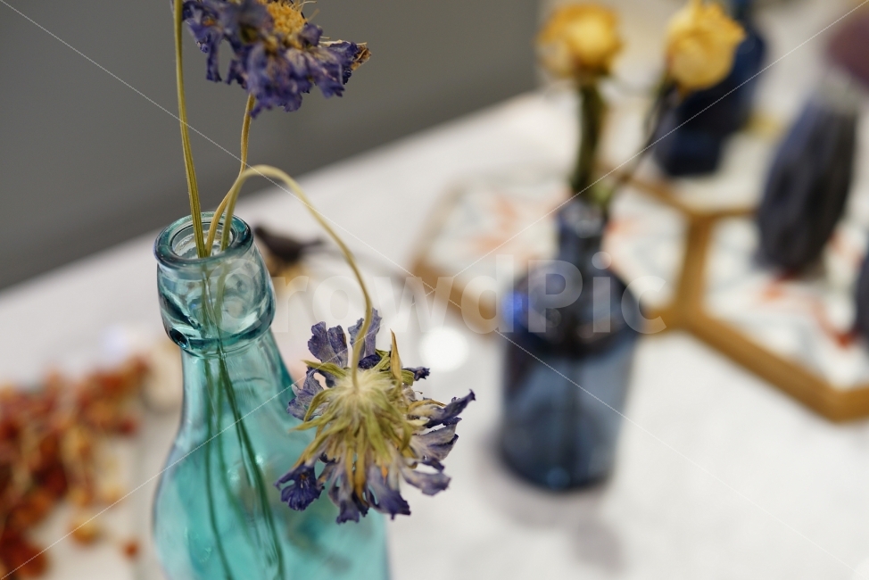 무보정,감성,스냅,미러리스,까페,드라이플라워,식물,자연,plants,nature,꽃,flower,사물,물건,오브젝트,thing,object,matter