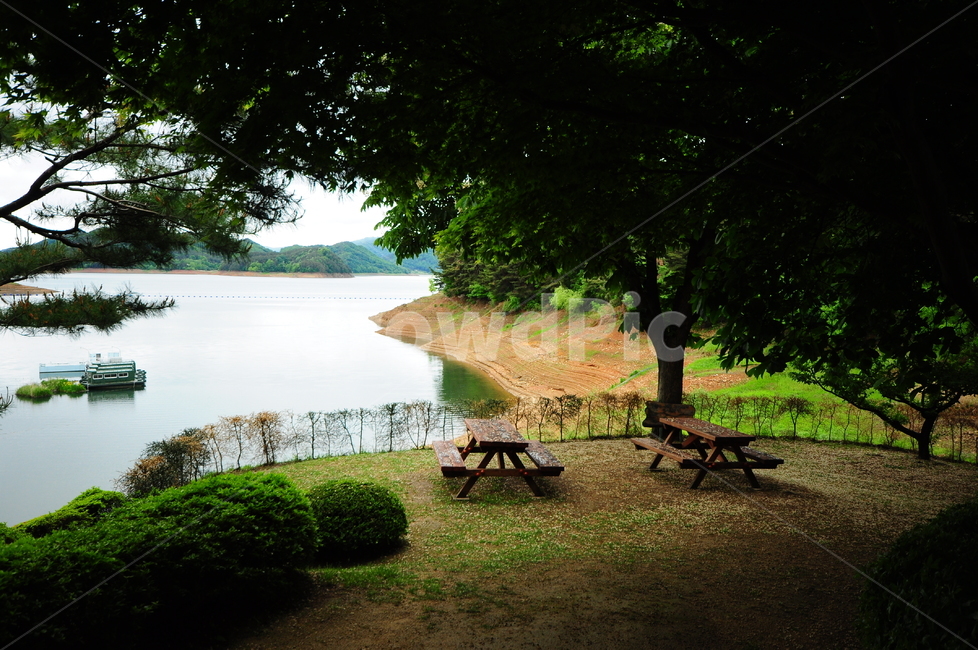 벤치,의자,나무,강,호수,쉼터,자연,풍경,nature,landscape,bench,tree,plant,식물