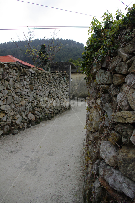 골목길,돌담길,돌담,집,시골,길,시골,마을,풍경,landscape,country,rural,town,골목길,alley,wall,벽,rubble,파편,stone wall,slate,슬레이트