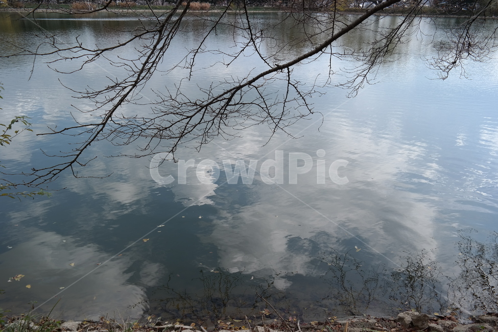호수,하늘,구름,나무,자연,물가,숲,공원,수변,자연,풍경,nature,landscape,water,물,land,땅,outdoors,옥외
