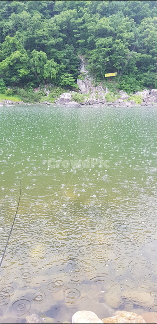 힐링,바람,낚시,물방울,시원함