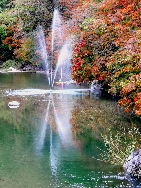 단풍,가을,물,나무,빨강단풍,가을,계절,fall,autumn,season,자연,풍경,nature,landscape,water
