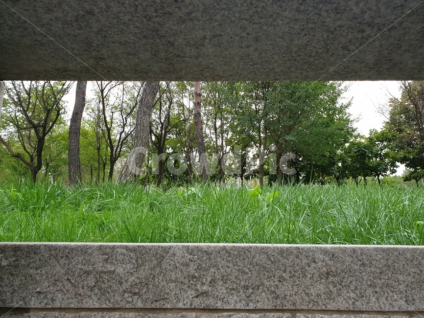 자연,공원,돌담,풀,나무,센트럴파크,돌사이