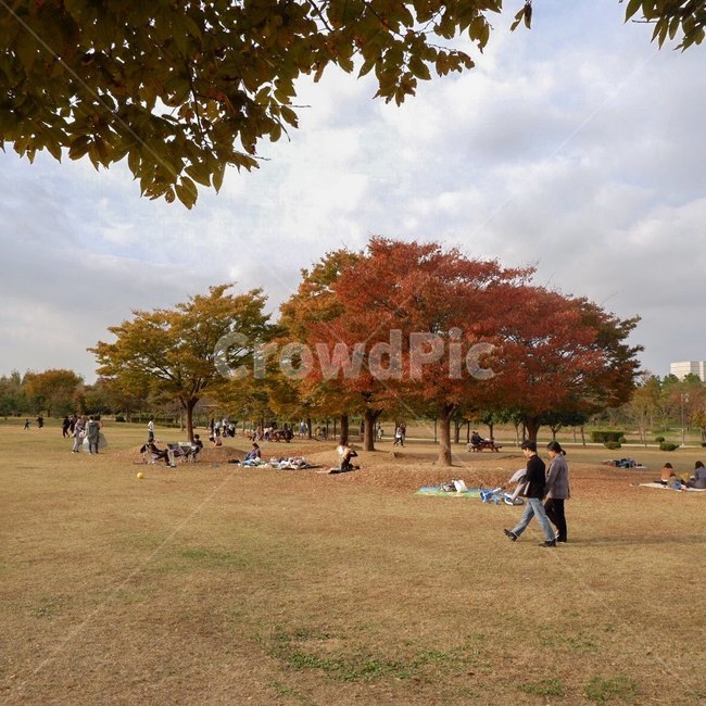 옥외,park,공원,outdoors,잔디,human,grass,산책,가을