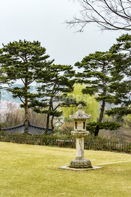 용인호암미술관,정원,잔디,석등,석공예,감성,소나무,한국전통,한국문화,korean traditional,korean culture