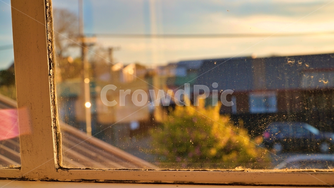 창문,창가,나무,빛,집,노을,window,tree,light,twilight,house