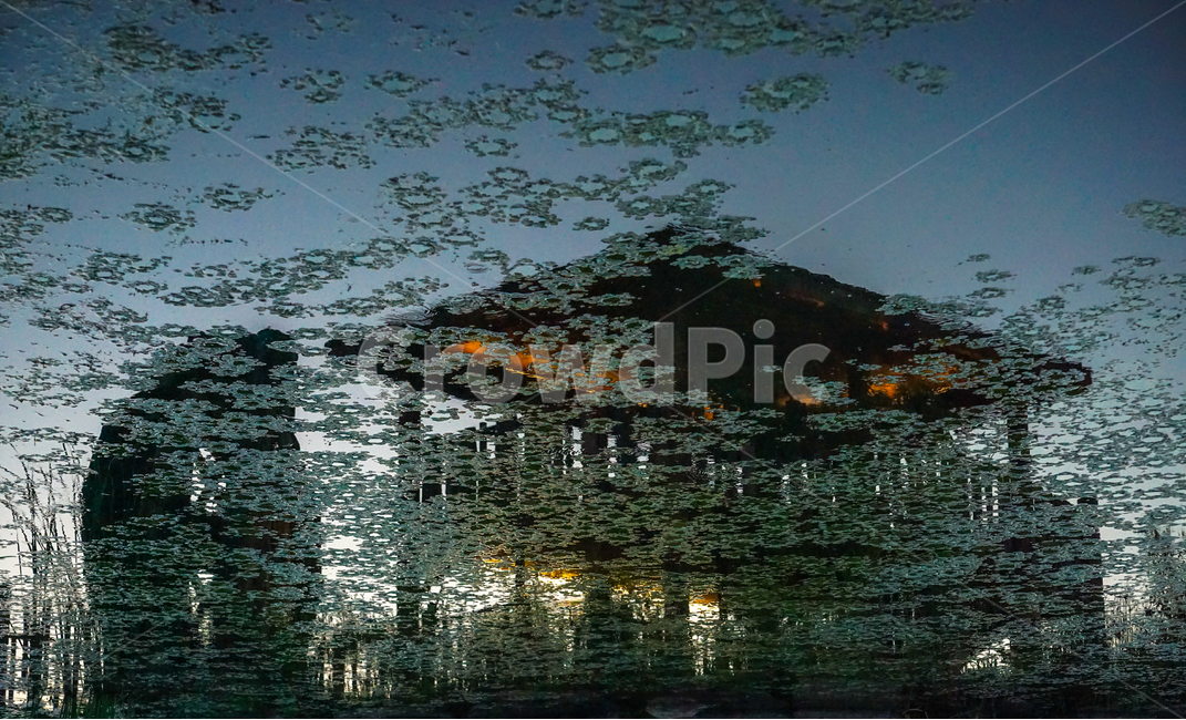 정자,물레방아,조명,호수,공원,풍경,반영,자연,풍경,nature,landscape,water,물,outdoors,옥외