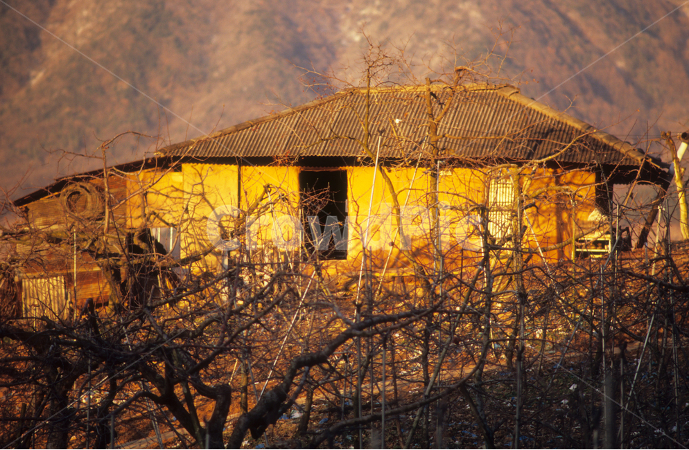 과수원,집,풍경,늦가을,fruitfar,house,scenery,latefall,한국전통,한국문화,korean traditional,korean culture,건축물,건물외관,exterior,building,structure,architecture,construction