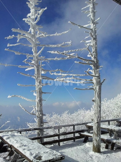 눈,산,겨울,눈꽃,겨울산,wintermountain