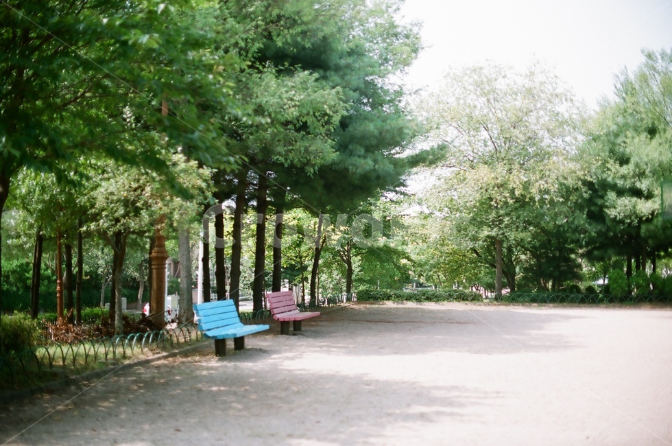 벤치,bench,정원,outdoors,공원