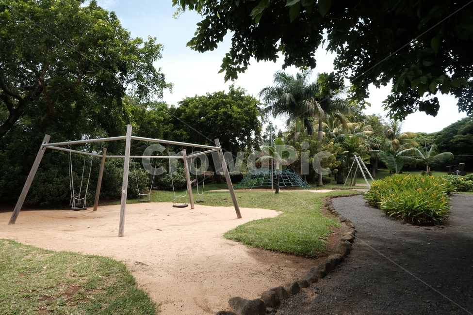 놀이터,놀이기구,풀,야자수,공원,playground