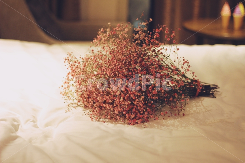 감성사진,안개꽃,셀프웨딩,꽃,스냅,감성,자연,flower,식물,자연,plants,nature,꽃,flower,결혼,혼례,웨딩,wedding,marriage,marry,기념일,축하,anniversary,congratulation,celebrate,celebration,감성,sensible,feeling