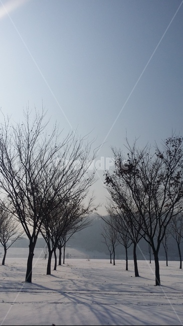 나무,설경,겨울풍경,겨울,snow,winter,tree,발자국,흰색,화이트,풍경,감성,겨울감성,겨울나무,겨울,계절,winter,season,자연,풍경,nature,landscape,outdoors,옥외