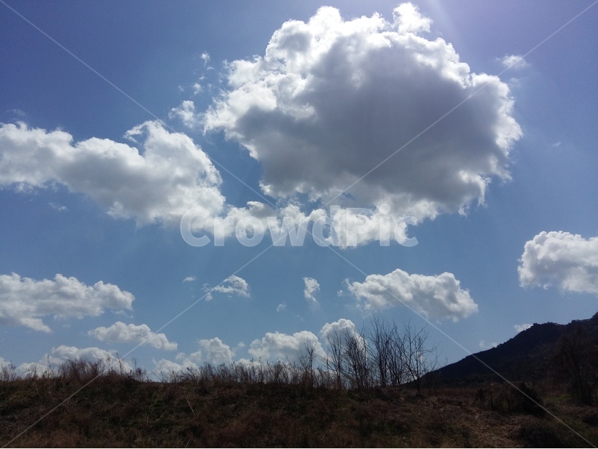 뭉게구름,봄,파랑하늘,햇빛,바람,낮,자연,풍경,nature,landscape,outdoors,옥외,sky,하늘,cloud,구름,weather,날씨,cumulus,적운